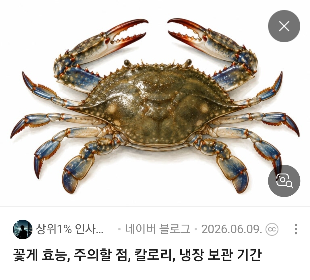 꽃게