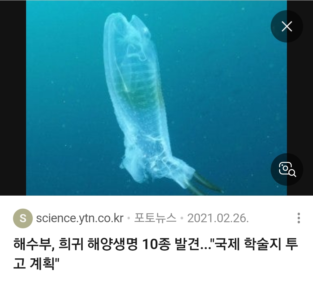 살파